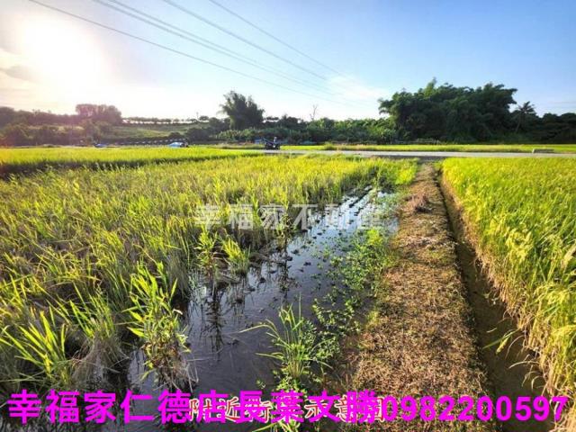 台南農地-4