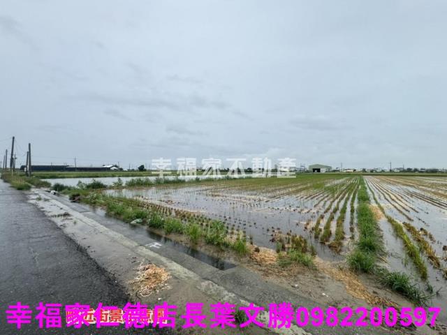 台南西港農地-2