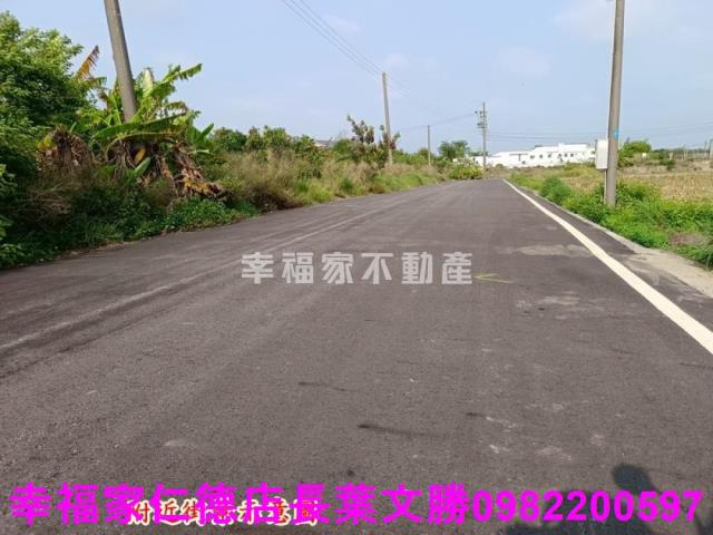 安定農地-0