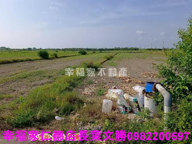 將軍農地-12