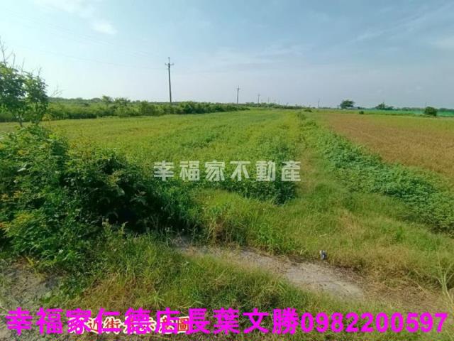 將軍農地-10