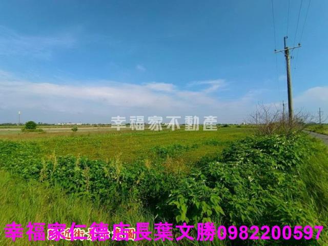 將軍農地-7