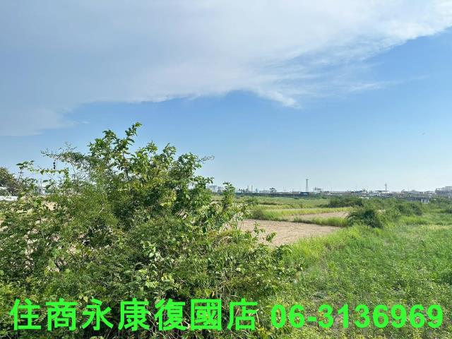 台南仁德農地-1