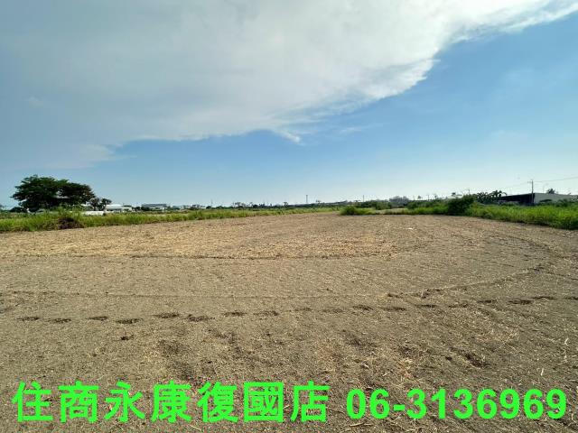 台南仁德農地-6