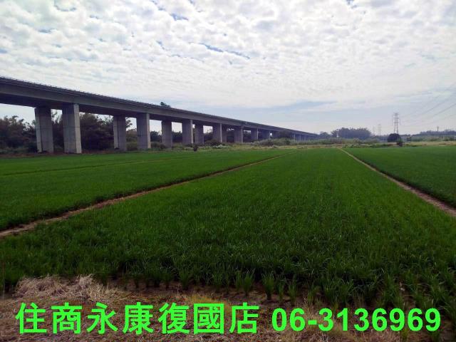 台南官田農地-9