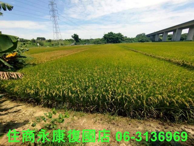 台南官田農地-1