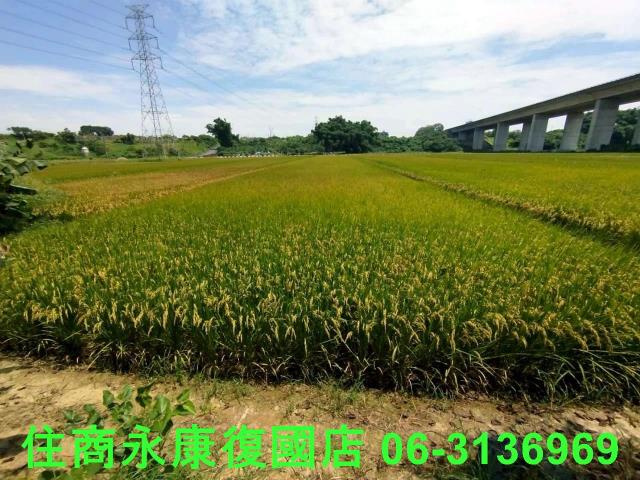 台南官田農地-0