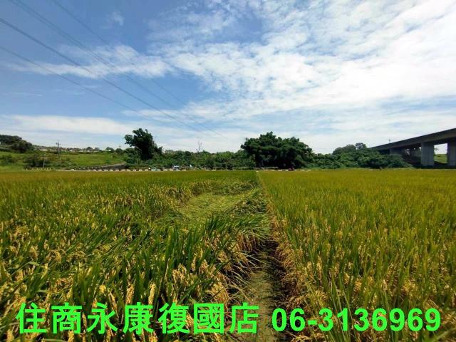 台南官田農地-2