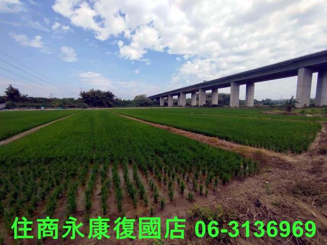 台南官田農地-4