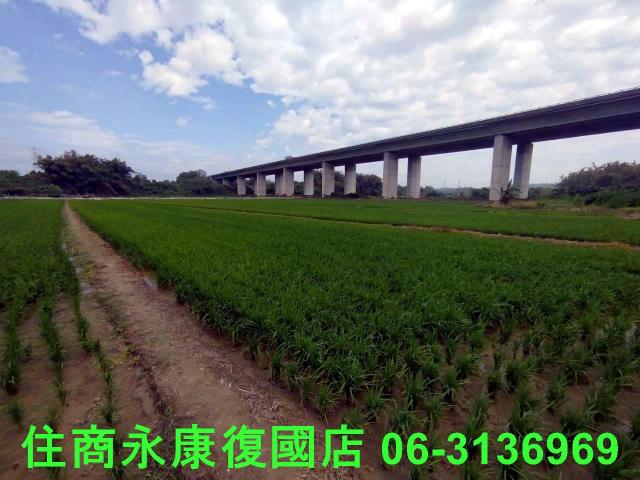 台南官田農地-5