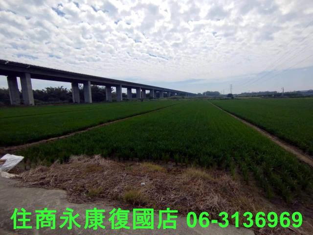 台南官田農地-6