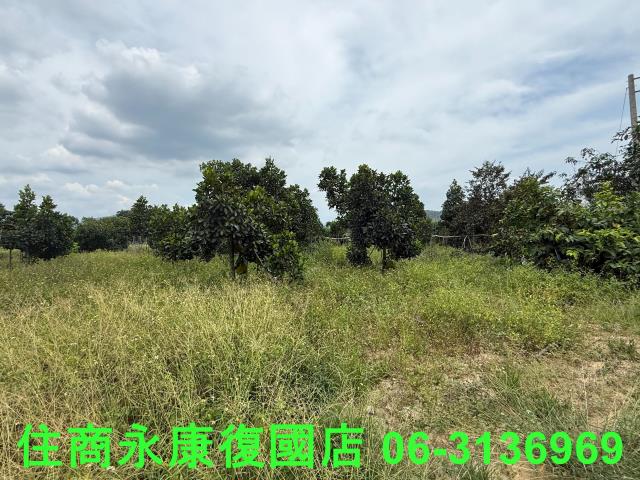 台南楠西農地-3