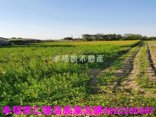 台南善化農地-6
