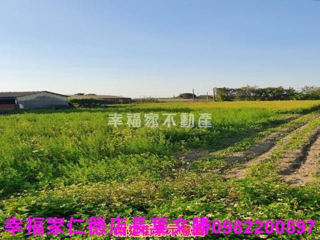 台南善化農地-7