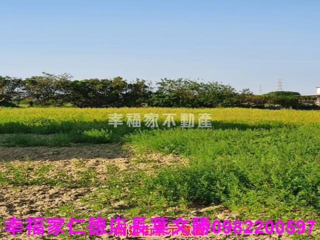 台南安南農地-11