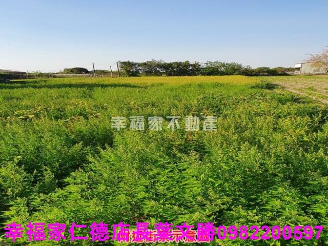 台南安南農地-14