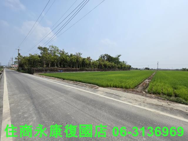 台南六甲農地-10