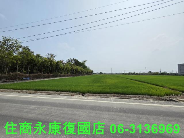 台南六甲農地-11