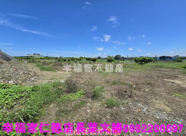 台南仁德農地-2