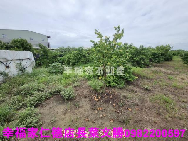 台南山上農地-2