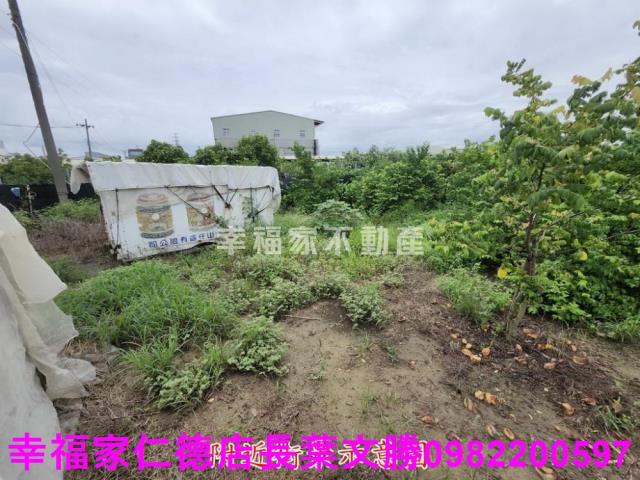 台南山上農地-7