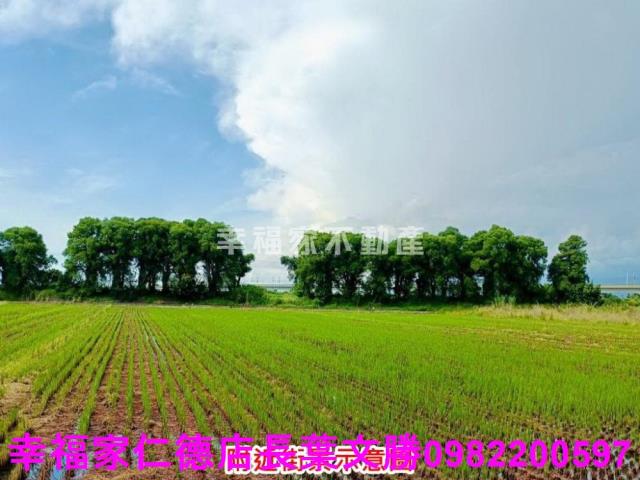 新營農地-12