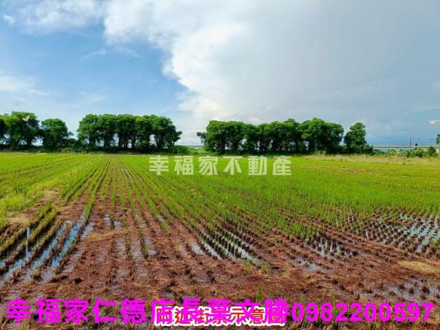 新營農地-1
