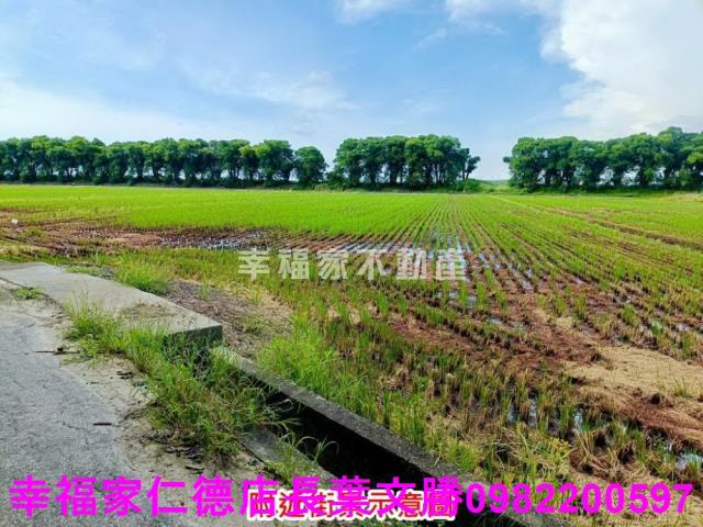 新營農地-4