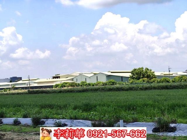 台南農地-5