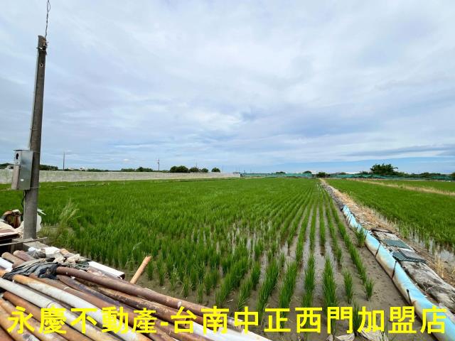 台南柳營農地-2
