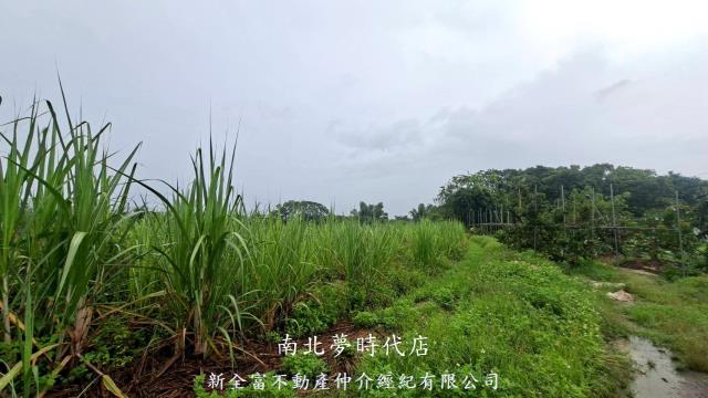楠西農地-9