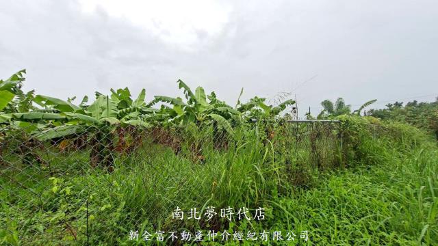 楠西農地-6