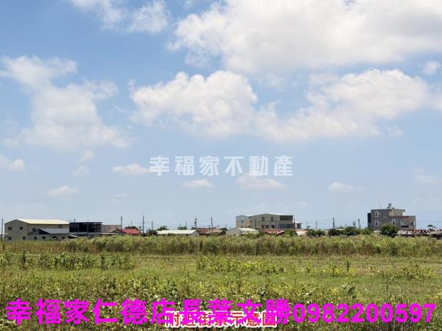 台南農地-4
