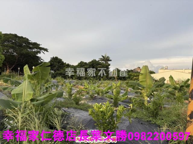 台南農地-5