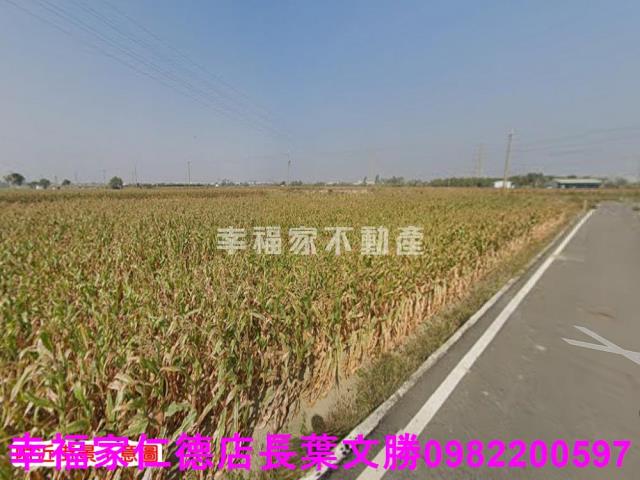 台南農地-9