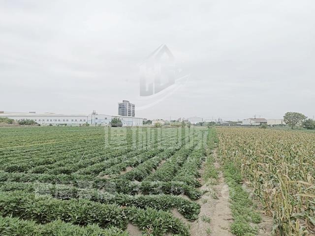 新化農地-1
