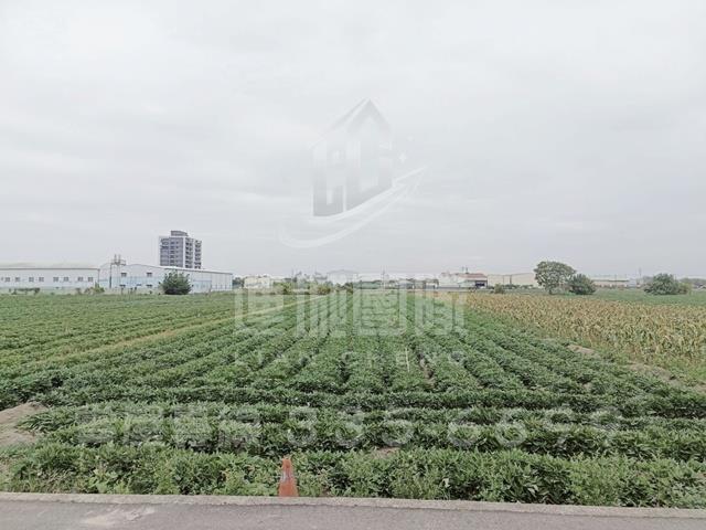 新化農地-2