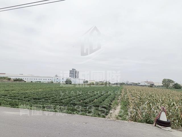 新化農地-4