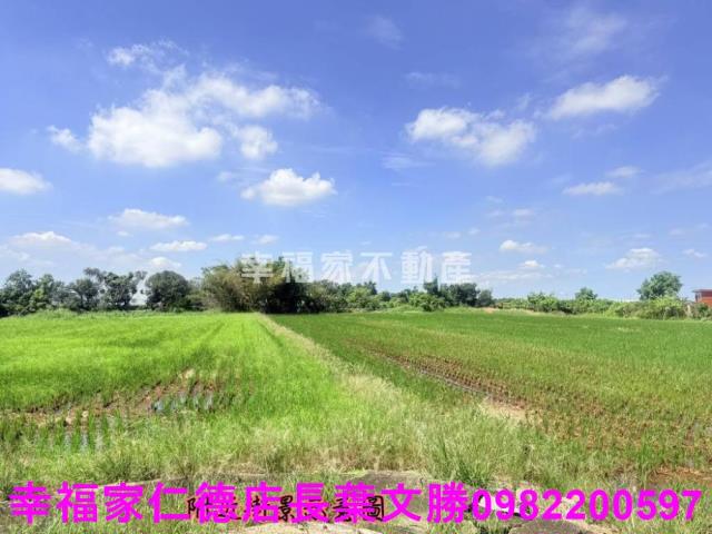 台南柳營農地-11