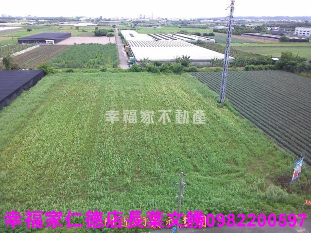 台南新市農地-9
