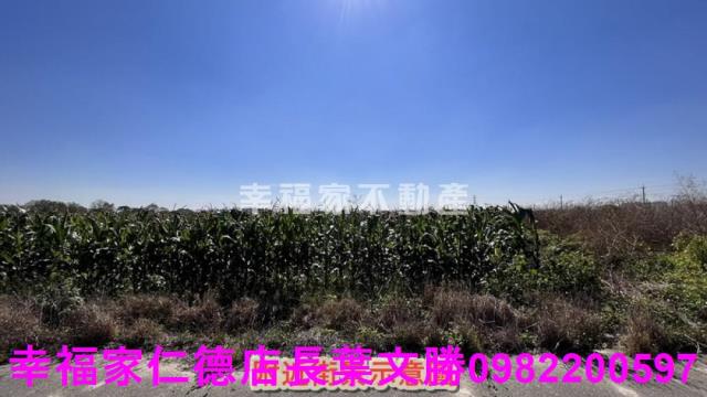 台南新營農地-0