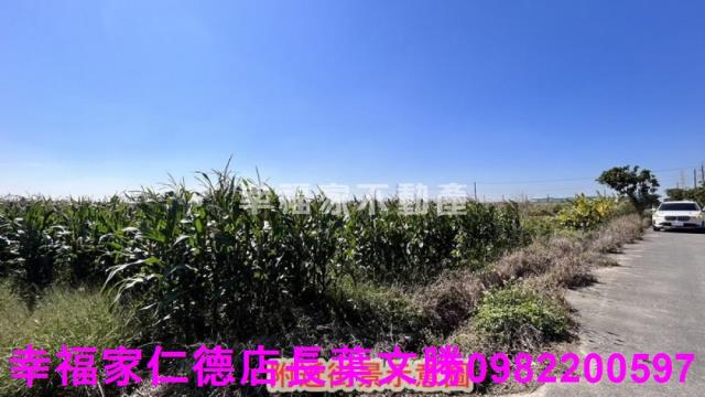 台南新營農地-5