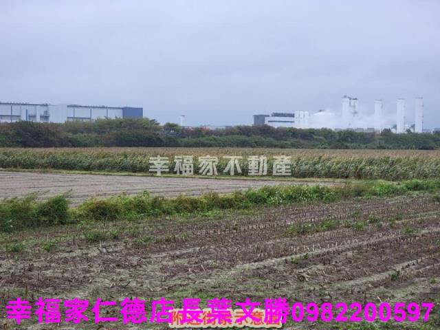 台南新市農地-3