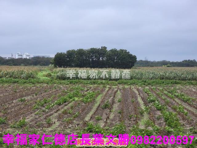 台南新市農地-7