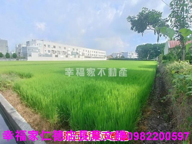 台南六甲農地-9