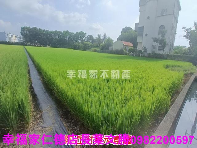 台南六甲農地-13