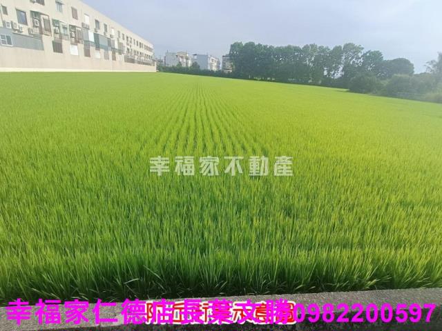 台南六甲農地-5