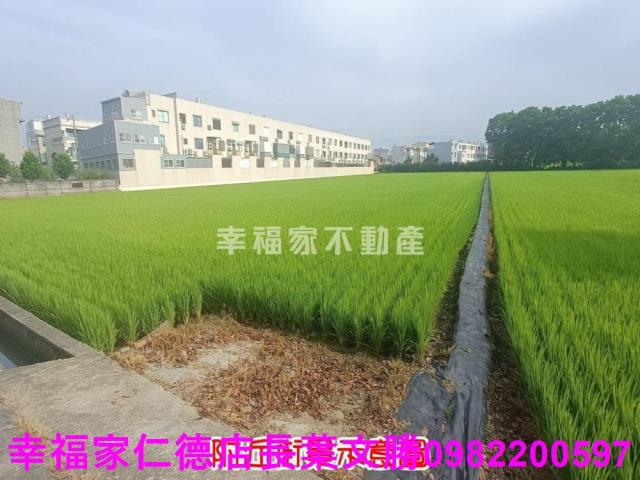 台南六甲農地-8
