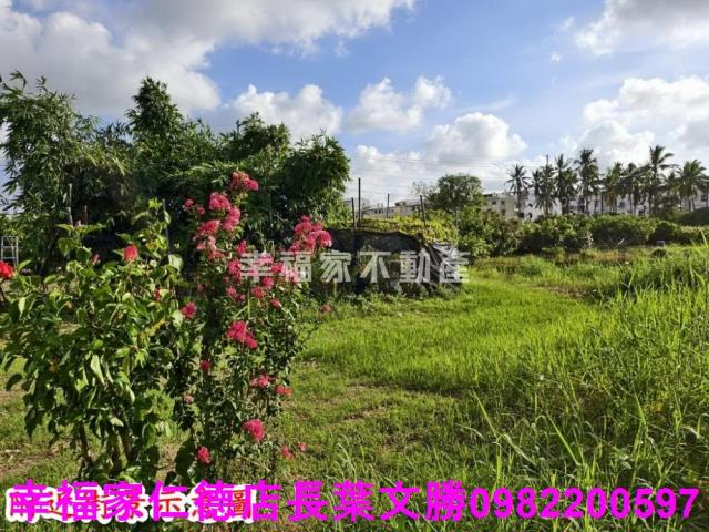 台南歸仁農地-9