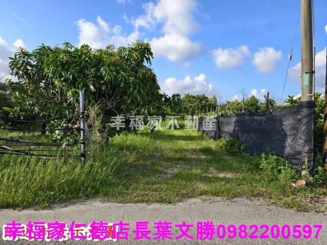 台南歸仁農地-12
